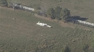 مصرع 3 أشخاص جراء تصادم طائرتين بولاية أمريكية