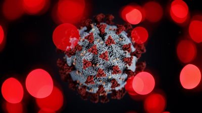 دراسة تحليلية جديدة: زيادة الوزن هي ما ترتبط بالمخاطر الزائدة للإصابة بعدوى كورونا