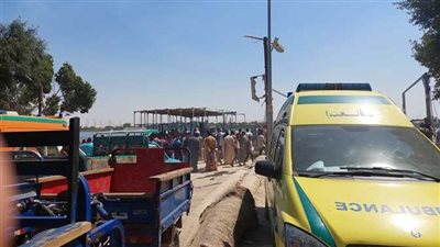 مصر.. برلمانية توجه طلب إحاطة للحكومة بسبب أزمات 