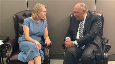 شكري يستهل زيارته لنيويورك بلقاء وزيري خارجية النرويج ومالطا 