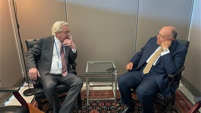 وزير الخارجية يبحث القضية الفلسطينية مع المنسق الأممي لعملية السلام في الشرق الأوسط