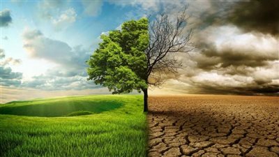 عمرو القطامي: الدولة المصرية لديها إرادة حقيقية للتصدي لظاهرة تغير المناخ