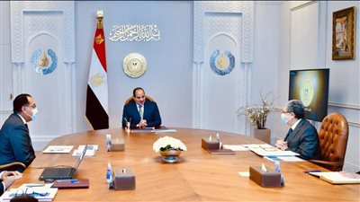 الرئيس السيسي يوجه بتطوير منظومة صناعة الألومنيوم في مصر