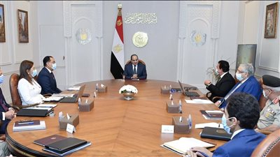 الرئيس السيسي يتابع مستجدات إنشاء منظومة المخازن الاستراتيجية للدواء