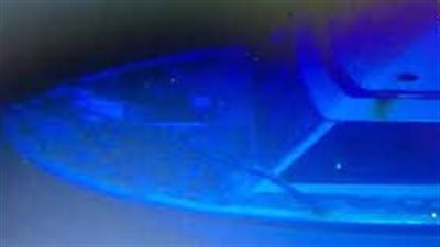 ردود فعل نجوم الفن في لبنان بشأن مأساة 