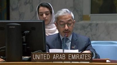 في مجلس الأمن.. الإمارات: استفتاءات شرق أوكرانيا تعقّد الحل السلمي