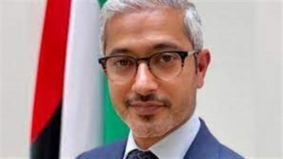 الإمارات لدى مجلس الأمن تؤكد أن استفتاءات شرق أوكرانيا تعقّد الحل السلمي