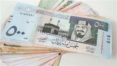  سعر الريال السعودي في مصر لدى البنك المركزي اليوم الأحد