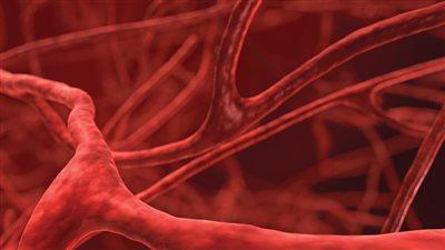  أفضل وسيلة لحماية القلب والأوعية الدموية من التصلب