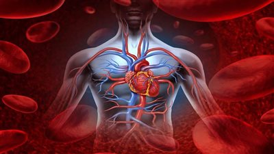 أحذر.. الزرنيخ يرفع خطر الإصابة بأمراض القلب والأوعية الدموية 