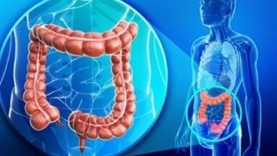 هل هناك ارتباط فقدان الوزن بصحة الأمعاء؟