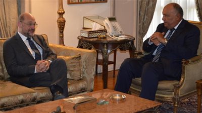 وزير الخارجية يستقبل رئيس مؤسسة 