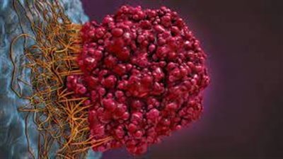 عوامل تعمل على تقليل خطر الإصابة بالسرطان