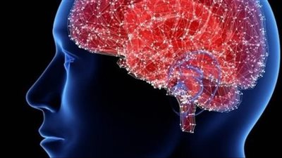  عوامل تؤثر على استيعاب وتذكر المعلومات الجديدة