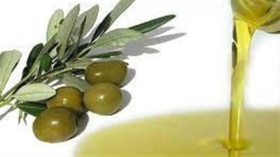 زيت الزيتون.. عنصرا حاسما ونظام غذائي صحي للقلب ولضمان عمر مديد