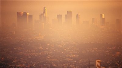  دراسة: التعرض لتلوث الهواء قد يزيد من خطر الإصابة بالحساسية والسمنة