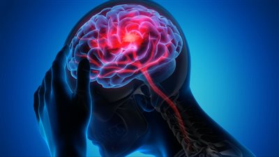 تأثير موجات الرنين المغناطيسي لفهم تأثير اللون الأحمر على دماغ البشر