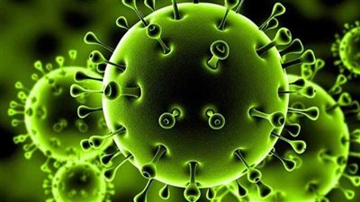 خبير: لا يوجد دليل قاطع على تطوير فيروس COVID-19 بطرق اصطناعية