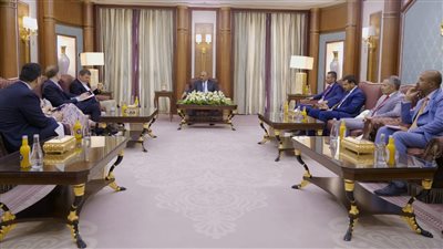 نائب رئيس مجلس القيادة الرئاسي باليمن: بذلنا جهودًا كبيرة للإبقاء على فرص السلام