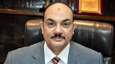 سياسي مصري: أداء 