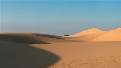 برلماني: إجراء دراسة لاحتياطيات الفوسفات بداية لاستراتيجية لصناعة الأسمدة في مصر