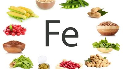 خبيرة: نقص الحديد في الجسم يمكن أن يؤدي إلى فقر الدم 