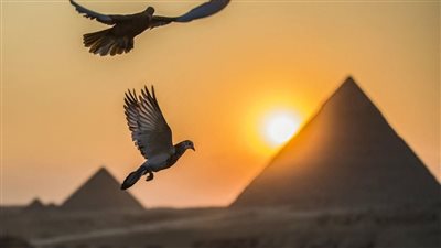 مصر.. مطالب بتعظيم مساهمة الذكاء الاصطناعى في الناتج المحلي