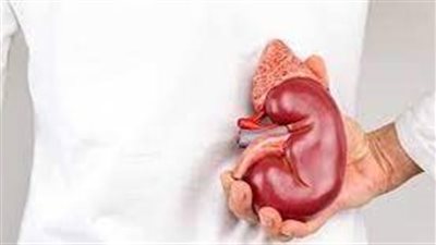 ما هي أكثر أعراض أمراض الكلى خطورة؟