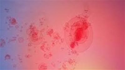 علماء يكتشفون نشاطا غير متوقع في البكتيريا الخاملة