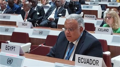 مندوب مصر الدائم لدى الأمم المتحدة يُلقي بيان المجموعة العربية أمام مفوضية اللاجئين