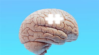 باحثون: أن الخلايا العصبية المفرطة النشاط في الدماغ قد تساهم في هذا الاضطراب