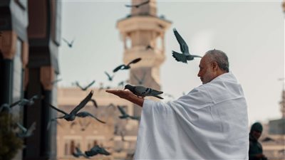 منصة نسك للحج والعمرة للزائر من خارج المملكة السعودية تتصدر محركات البحث (خطوات التسجيل)