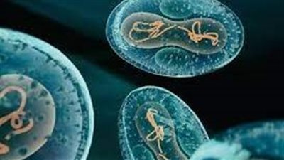  علاج جديد يوقف الأورام العدوانية في مساراتها الخاصة