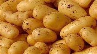  اكتشاف مضاد حيوي جديد مضاد للفطريات