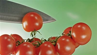 خبيرة: تناول عصير الطماطم بصورة منتظمة يحسن عملية الهضم 