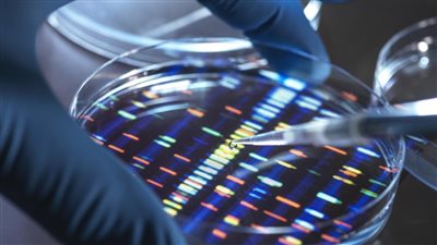 اختار سريع يسمح باكتشاف الأمراض الوراثية المختلفة في فترة وجيزة من الزمن