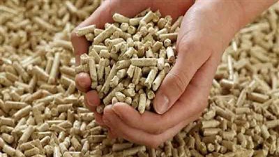 مصر.. طلب إحاطة بشأن نقص الأعلاف