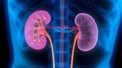 دراسة: صحة الأم تلعب دورا مهما في المساعدة على الوقاية من أمراض الكلى