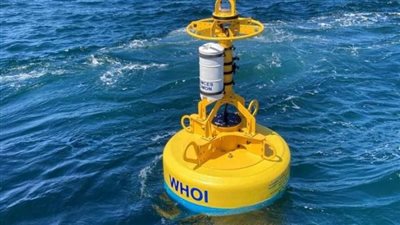 ابتكار عوامة تحمي الحيتان من الاصطدام بالسفن 