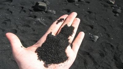 برلماني مصري: افتتاح مصنع الرمال السوداء سيساهم في دفع عجلة الاقتصاد بالبلاد