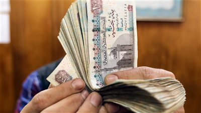اقتصادي مصري: 5 عوامل تحمي الجنيه من الهبوط بعد قرض صندوق النقد