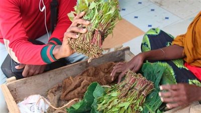 أعراض تعاطي القات النفسية.. مفعولها يستمر حتى 24 ساعة 