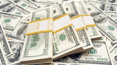 سعر الدولار في البنك المركزي المصري اليوم الأحد 23_10_2022