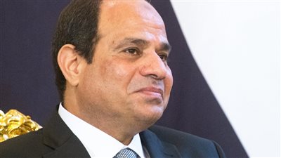  السيسي يشيد بنموذج العلاقات المشتركة بين بلاده ودولة الإمارات