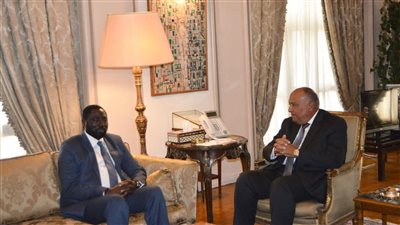 سامح شكري يستقبل وزير الخارجية والتعاون الدولي الجامبي 