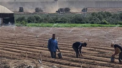 فلسطين.. قوات الاحتلال تستهدف المزارعين شرق مدينة غزة