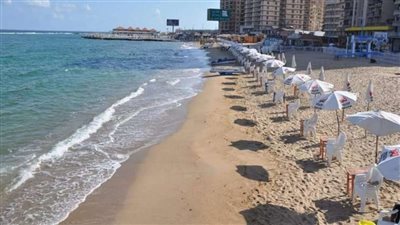 مصر.. طلب إحاطة بشأن انتشار الكافيهات بشواطئ الإسكندرية 