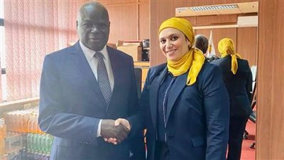 سفيرة مصر في هراري تلتقي مع وزير الاشغال العامة والحكم المحلي الزيمبابوي 