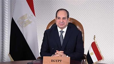 برلمانية ردًا على دعوات 11 نوفمبر: المصريون والسيسي يواصلون مسيرة البناء