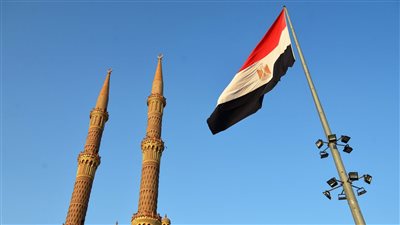 برلماني: الشعب المصري سيتصدى لدعوات الإخوان التحريبية في 11-11